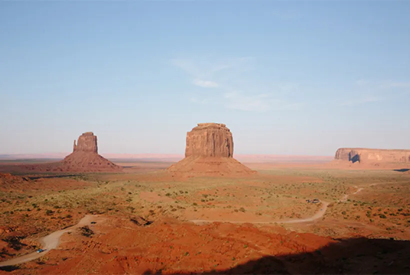 American Nature