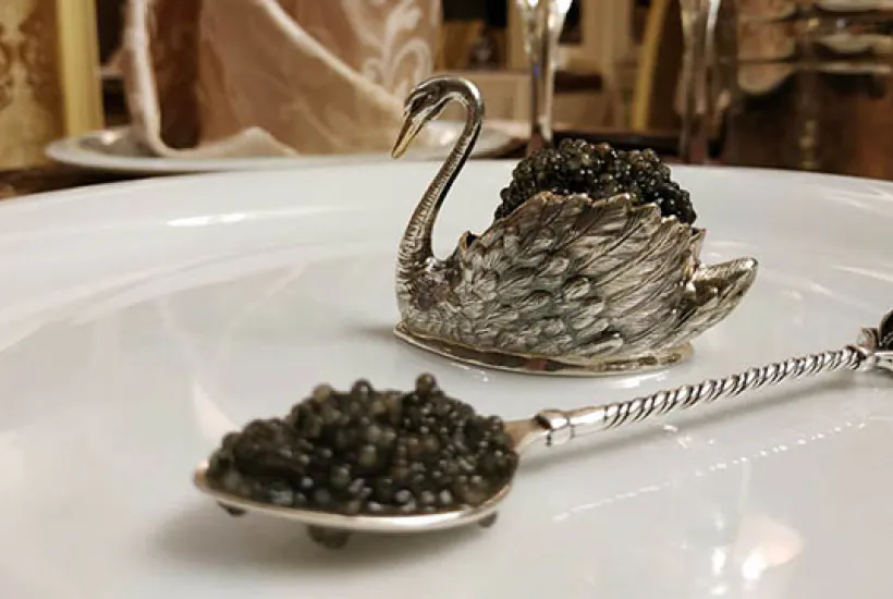Магия черной икры