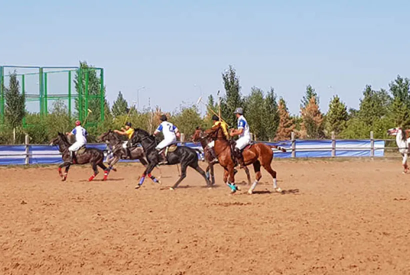 Спорт королей и король спорта